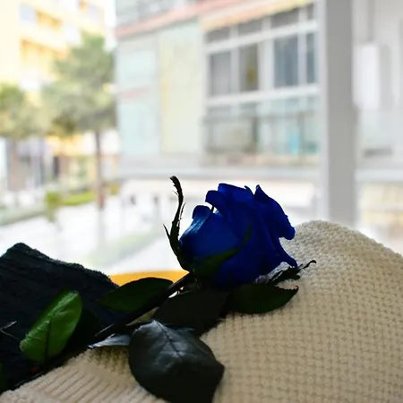 Paris Fashion - Торремолінос