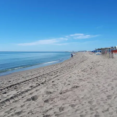 Paris Fashion - Torremolinos
