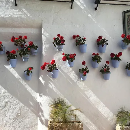 Paris Fashion - Apartament