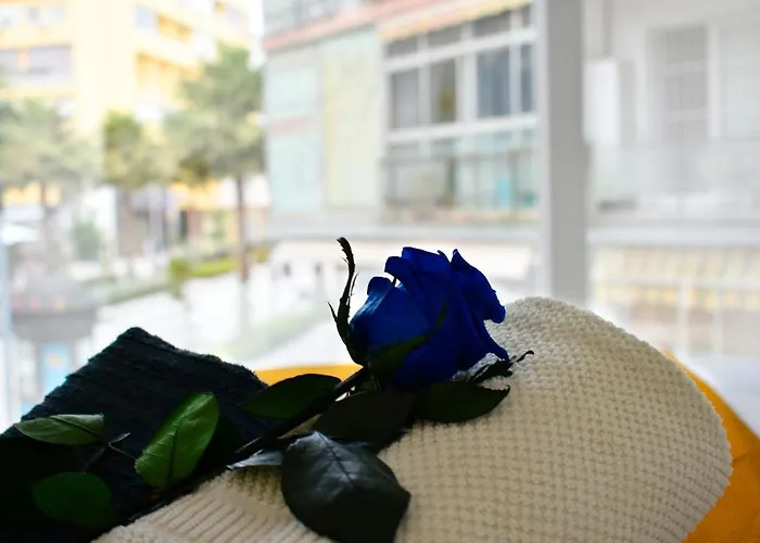 Paris Fashion - Torremolinos