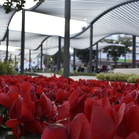 Paris Fashion - 公寓